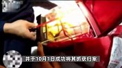 男子深夜爬5楼偷盗50斤黄金被抓：从小拉磨，腿脚有力气，没地方用