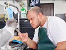 照着自己模样理的发