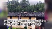 家猪“飞”上屋顶主人架梯驱赶，知情人：之前宰猪被它看到，跳了2米多高