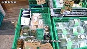 法国人评价3个国家菜市场：日本干净，印度脏乱，中国却是一个字