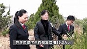 3兄妹祭祀引山火被罚种2000棵树，一家人1990天补种4000余株救赎：这些树就像我的孩子