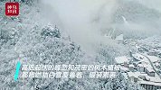 美醉了！一夜从春天回到冬季，满天飘扬的雪花又来九寨沟