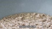 白菜这吃法太鲜美了，一层比一层好吃，多汁又美味，老方法教给你