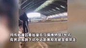 男子跳进俑坑近距离欣赏兵马俑，现场游客直呼“人才”，派出所回应