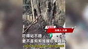 男子钓鱼不知毒蛇接近，2月大幼犬狂吠救其命：当场吓的浑身发凉