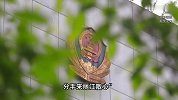 25岁男子刺伤民宿老板娘获刑4年2个月，只因女子长得像前女友