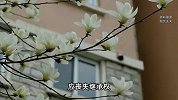 弟弟拿走母亲500万拆迁款被告，一句话让全家炸锅：你们没尽孝
