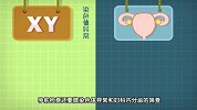 【飞碟宝贝计划】没做孕前检查还造吗