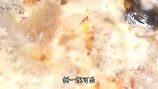 下班不知道吃什么？可以试试这个可乐焖方便面，说不出的好吃
