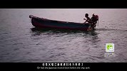 20180406-揭秘50亿黄金沉船之谜-看鉴大揭秘95