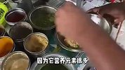 印度街头超实惠炒鸡蛋，两元一份每天卖2000份！小伙靠它买房买车