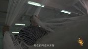 匠 心  |  网上情怀