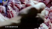 火了16年的大排档，老婆婆靠着猪杂粥，让所有老广人都逃不过它！