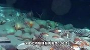惊艳了！南海一沉船遗址发现超10万件文物
