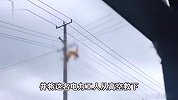 江苏一电力工人高空作业疑似触电身亡？供电公司：具体情况正在核实