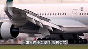 国泰航空再回应歧视事件：涉事空乘停飞