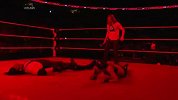 WWE-14年-RAW第1092期：女子冠军赛Paige vs. Brie Bella-花絮