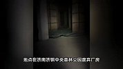 废弃厂房“惊现”二十余人蹦迪，拍摄者直呼年轻人会玩，警方回应