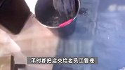 小龙坎火锅店被曝把顾客吃剩的豆芽、鸭血回收二次销售，用拖把桶洗餐具，多方回应