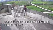 儿媳前脚出门，82岁老太太就翻门而出，看似步履蹒跚实则健步如飞