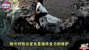 《海上牧云记》牧云笙破传闻登上皇位 盼兮为救牧云笙惨死