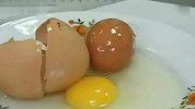 旅游-世界之大无奇不有！罕见的蛋中蛋
