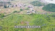 江西于都3被害儿童家属发声：案发当天无冲突，至今未获道歉