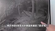 男子家中20万现金被偷，6张“豹子号”钞票成关键：银行存钱时露破绽