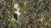这是什么视角...德国队主帅克洛普今日现身拜仁训练基地