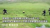 300斤棕熊偷吃粮食被卡塑料桶，救援现场气氛紧张，拔桶后双方扭头就跑
