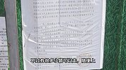 封闭公园被开辟出网红野道，危险重重引市民冒险打卡，官方回应