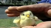 玩物-盘点10个疯狂的玩具