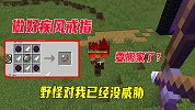 我的世界脚滑鸡专辑