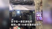 女子捡到150克金链子，检验后交给警察叔叔：以为是玩具