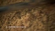 新疆精酿啤酒，只要来上一口，所有烦恼抛掷脑后