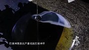 新疆地道的羊肉焖饼，本地羊没一点膻味，看着就馋的流口水丨新疆