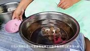 泰国特色美食 大补