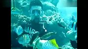 旅游-塞班岛的海底世界