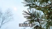 春运高峰局地下暴雪，有人被堵高速，医生：空调取暖要开窗通风！