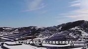 交警跪地铺麻袋，推车被熏到呕吐仍不后退 暴雪中倔强的“摔跤哥”找到了