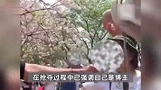 博主为游客免费拍照，竟遭景区商户围剿并抢夺相机，景区回应