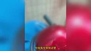 女子偷拿快递被发现谎称帮朋友拿的，听到报警后秒认怂：我不敢了