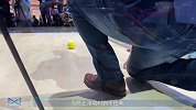 智能音箱过时了？能独立思考的智能管家，以后连说话都省了