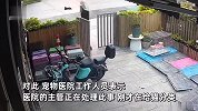 男子凌晨4点多蒙面开无牌车，将28只猫遗弃在医院门口，临走时拍照留痕