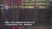 女子下河摸鱼，被咬伤半身失去知觉！消防紧急提醒：下河需谨慎