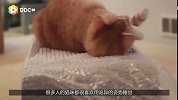 蛋糕形状的高跟鞋，听说能穿还能解饿！