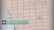 山东日照一男孩高楼坠落，当地：家长看护不慎，抢救无效身亡