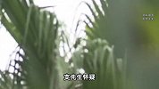 7楼8楼闹矛盾3年，9楼崩溃：7楼搬走远程震楼