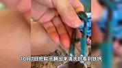女子网购运动鞋在鞋底拆出剪刀，回力公司：系假冒伪劣产品，非授权店铺