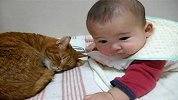 [搞笑]宝宝与猫咪做伴
